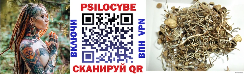 где купить наркоту  Алдан  Псилоцибиновые грибы мицелий 